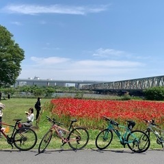 クロスバイク（自転車）サークル、メンバー募集。ゆるく楽しく仲間と走りませんか。 - 墨田区