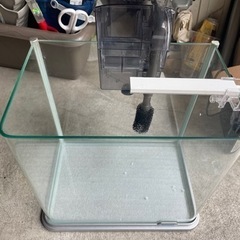 水槽セット 30cm ライト フィルター