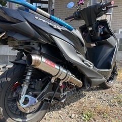 シグナス5型不動