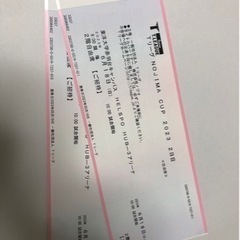 6月18日(日) Tリーグ NOJIMA CUP2023【2日目...