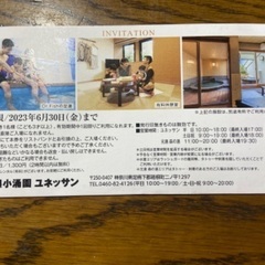 箱根小涌園ユネッサン入場券3枚（バラ売り可）の画像