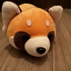 レッサーパンダ