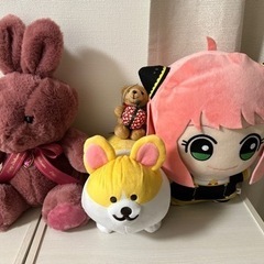 取りに来れる方無料✨ぬいぐるみの画像