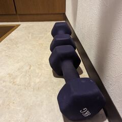 ダンベル 8kg ２本