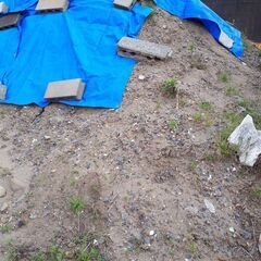 ★　無料　　♪　　　砂　　　お譲りします　　　★の画像