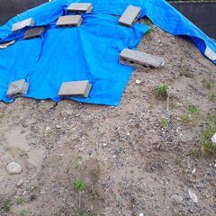 ★　無料　　♪　　　砂　　　お譲りします　　　★の画像