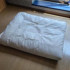 シングル　掛け布団　カバー付き！(お値下げしました)