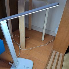 ライト(白)(決まりました)