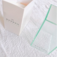 SKAGEN 腕時計　クリアケースの画像