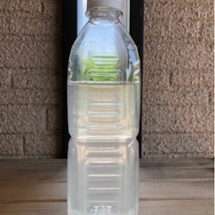 ゾウリムシ 400ml
