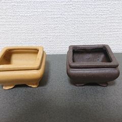 【差し上げます】超 ミニ盆栽 鉢 園芸