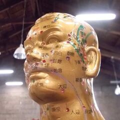 鍼灸 人体模型 天聖銅人 高さ90cm 整体 ツボ 整骨院 人模型 東洋医学 指破損 札幌市東区 新道東店の画像