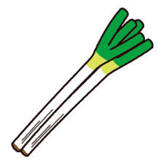 【人気の野菜の選別のお仕事！】ながねぎの選別作業〇空知郡南幌町〇 お仕事相談会開催中♪の画像