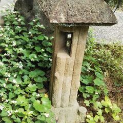 石灯籠、庭石　さしあげますの画像