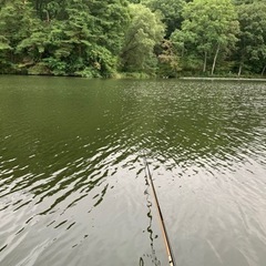のんびりとヘラブナ釣りをしませんか？ − 長野県