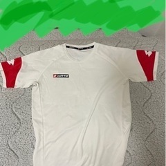 loto セットアップ　Mの画像
