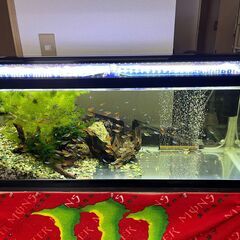 90cm水槽セットの画像