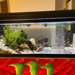 90cm水槽セットの画像