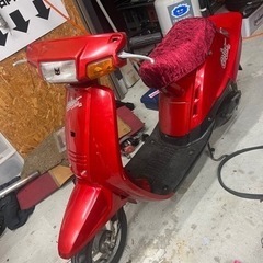 ミント