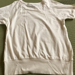 Tシャツの画像