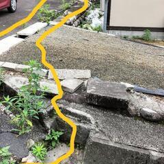草取り手伝いおねがいします。