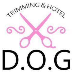 トリミングスクールの画像