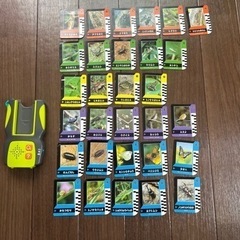 こどもチャレンジ　虫いきものかんさつナビ