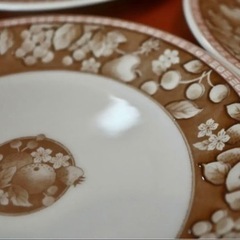 平皿5枚セット　SUN CERAX IN JAPAN 中皿の画像