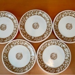 平皿5枚セット　SUN CERAX IN JAPAN 中皿の画像