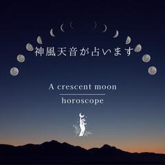 占い。タロット ホロスコープ