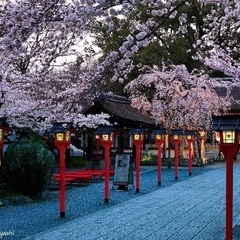 カメラ撮影、情報交換仲間募集 - 京都市