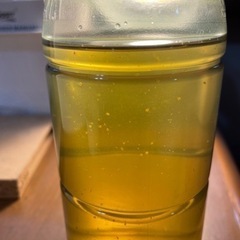 ミジンコ種水