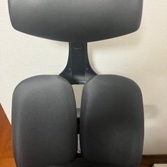 DUOREST デュオレスト D100 グレー