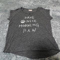 エドウィン カットソー