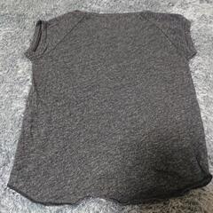 エドウィン カットソーの画像