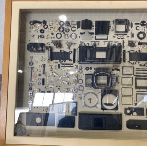 カメラ　コレクション　分解品 Canon F-1