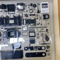 カメラ　コレクション　分解品 Canon F-1の画像