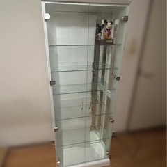 観賞用 ガラスケース