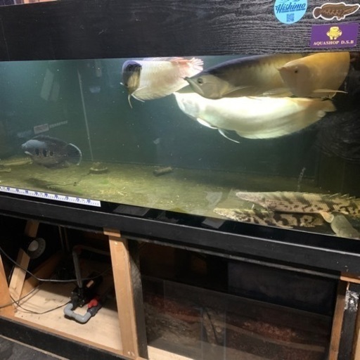 1800水槽　セット