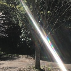 波動医療の奇跡をご体験ください‼️心と身体を癒す施療会参加者募集‼️