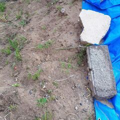 ★　無料　　♪　　　砂　　　お譲りします　　　★の画像