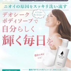 デオシーク 薬用 ボディソープ 300ml ワキガ 体臭 加齢臭 汗臭の画像