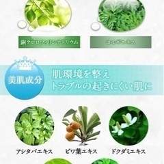 デオシーク 薬用 ボディソープ 300ml ワキガ 体臭 加齢臭 汗臭の画像