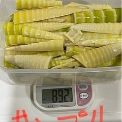 はちくシーズンラスト
