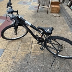 AMERICAN EAGLE アメリカンイーグル マウンテンバイ...