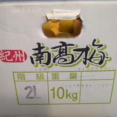 南高梅1キロ〜(10キロあり)本日中ひきわたしの画像