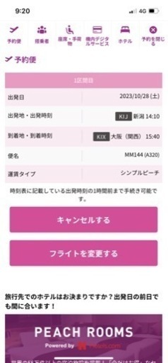新潟ー関空　航空券　急なお出かけ、出張にも！