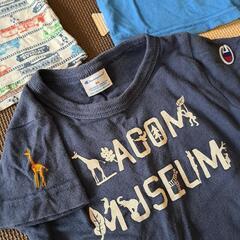 Tシャツ95cm３枚半ズボン100cm５枚の画像