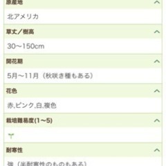 ガウラの画像