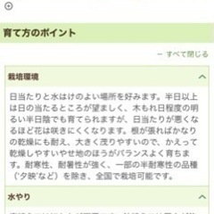 ガウラの画像